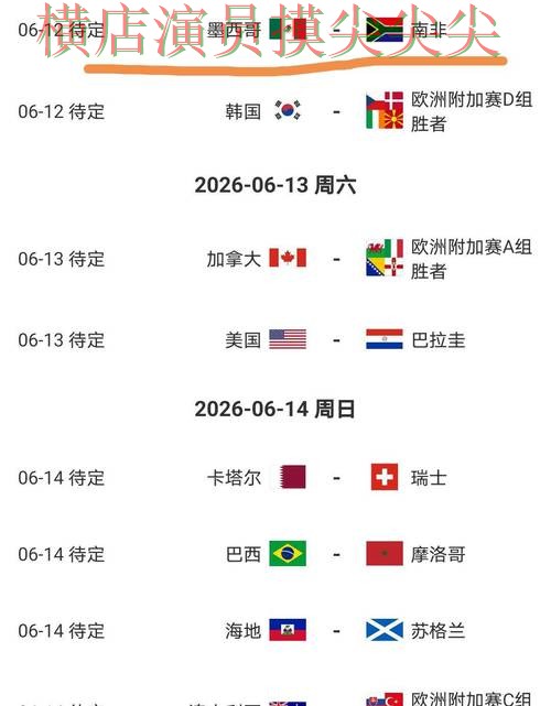 World Cup 2026期间热门世界杯买球平台盘点与直播入口分析